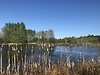 Hellidon Lakes Hotel & Resort