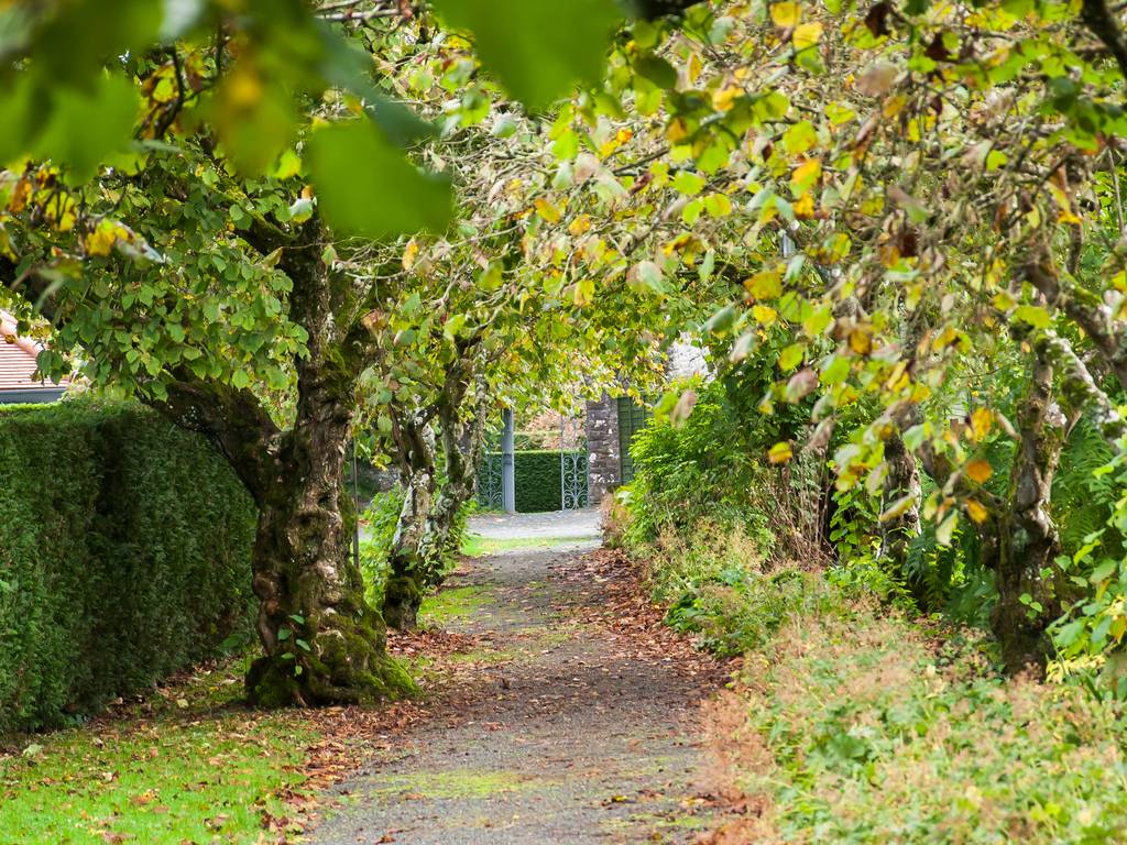 Llangoed Hall Hotel In Mid Wales And Brecon Luxury Hotel Breaks In The UK