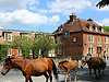 The Bell Inn Bramshaw