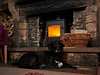 The Beeley Inn