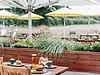 dog-friendly gardens at wellington arms hotel