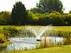Ufford Park